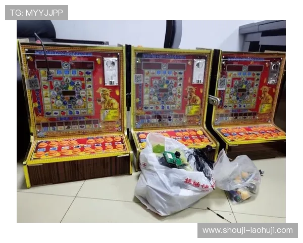 老虎机专卖店：满足不同客户需求的多品牌老虎机设备供应商